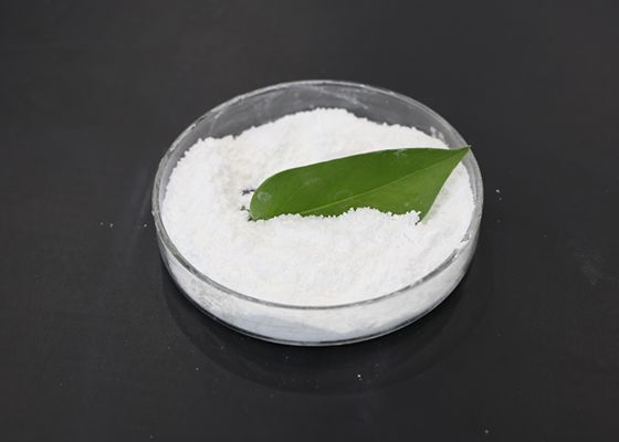 Industrial Grade MgO White Powder for Glass, Steel, and Coating Applications