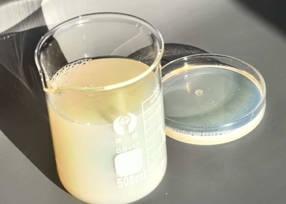 Durable Waterborne Polyurethane Resin With Long Service Life