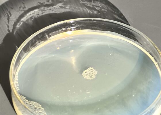 Chemical Stable Waterborne Polyurethane With Smooth Appearance