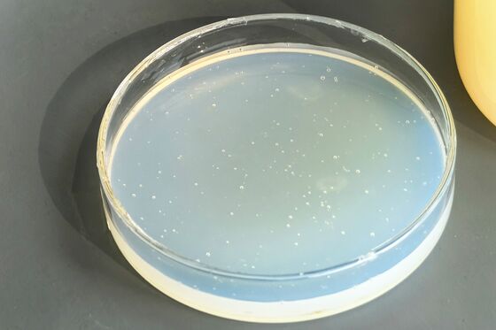 Acrylic Emulsion Waterproofing Durable Protective Coating