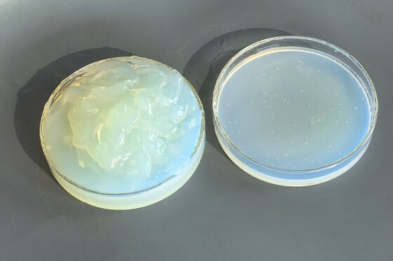 Fast Drying Acrylic Emulsion Waterproof Coating Weatherproof