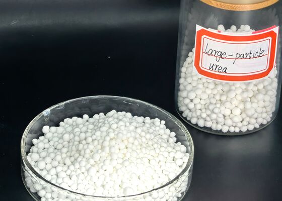 Organic Bio Fertilizer Improve Soil Microbial Activity Naturally